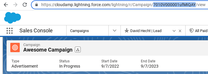 Finding the Salesforce Campaign ID